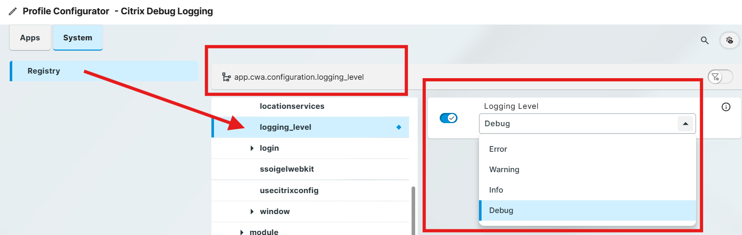 CitrixWSA-debug1.png