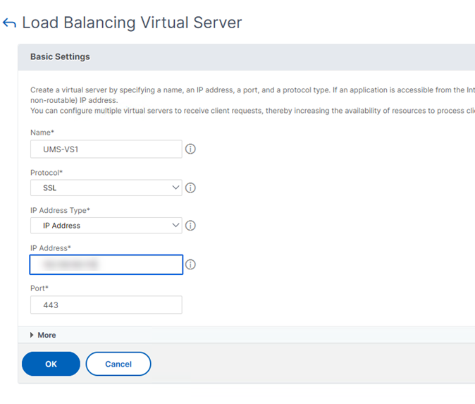 Virtueller Server Einstellungen