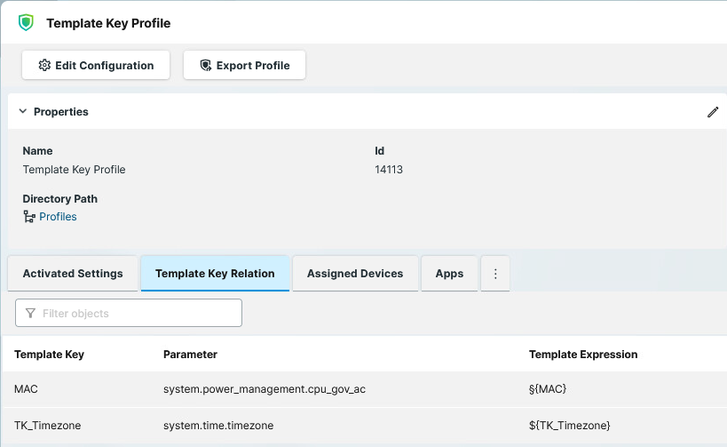 Template Key Relation in Template Key Profile