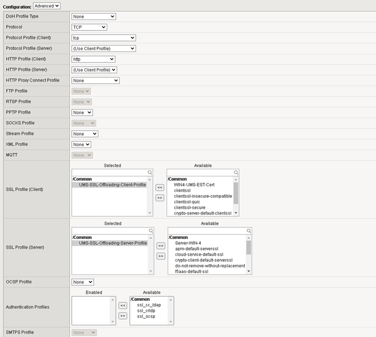 Werte für die Konfiguration des virtuellen Servers