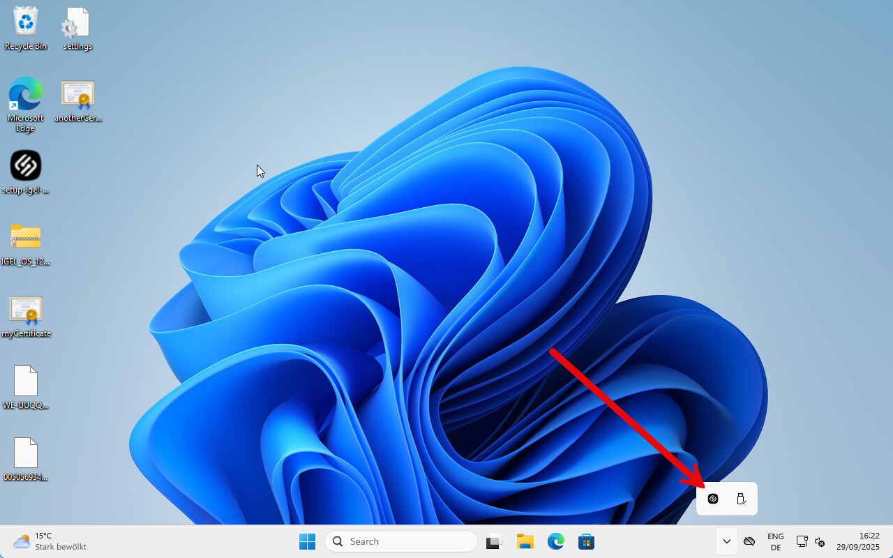image-20250929-142331.png