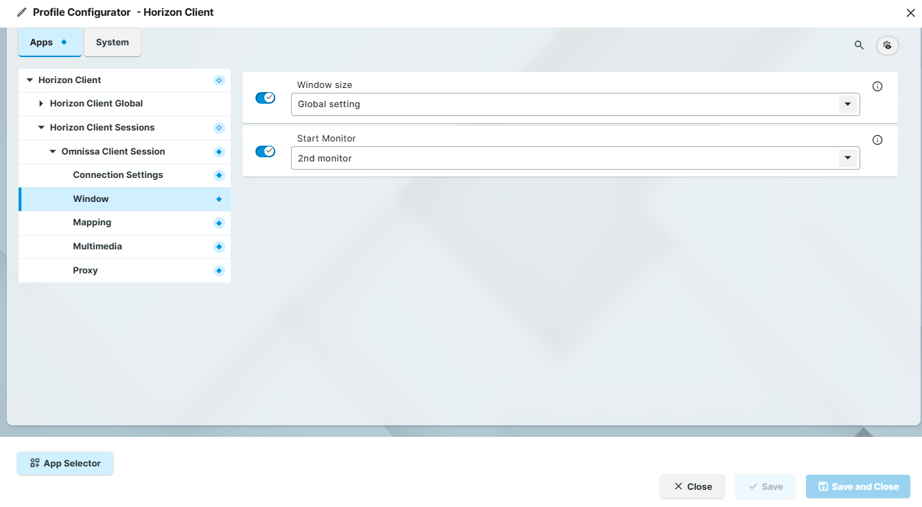 Window Settings for Horizon Client on IGEL OS