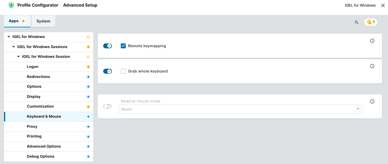 Keyboard and mouse settings for the IGEL for Windows session