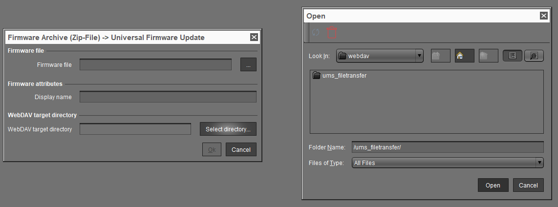 import-to-ums_filetransfer.png