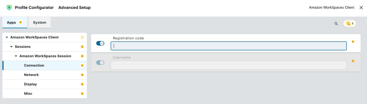 Configuring Connection Settings for Amazon WorkSpaces Client in IGEL OS