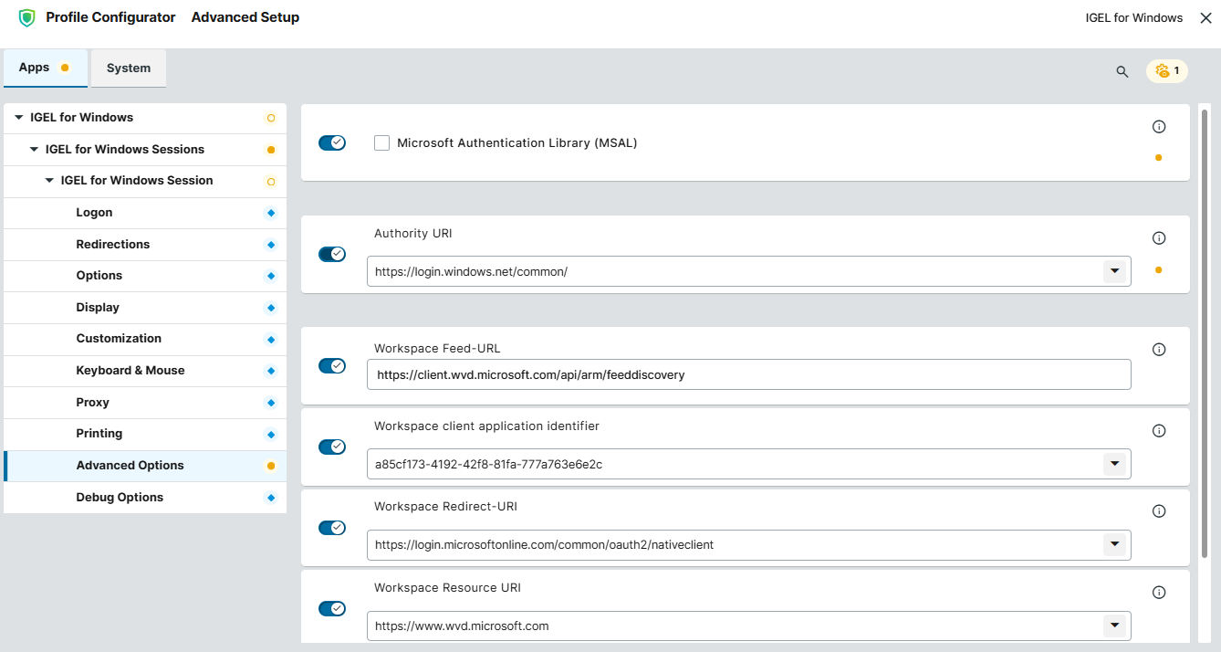 Advanced options for the IGEL for Windows session