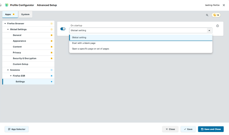 firefix-esr-individual-session.png