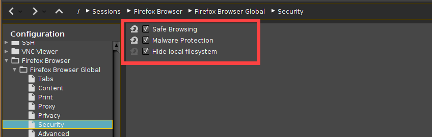 Firefox_SEcurity_EN.png