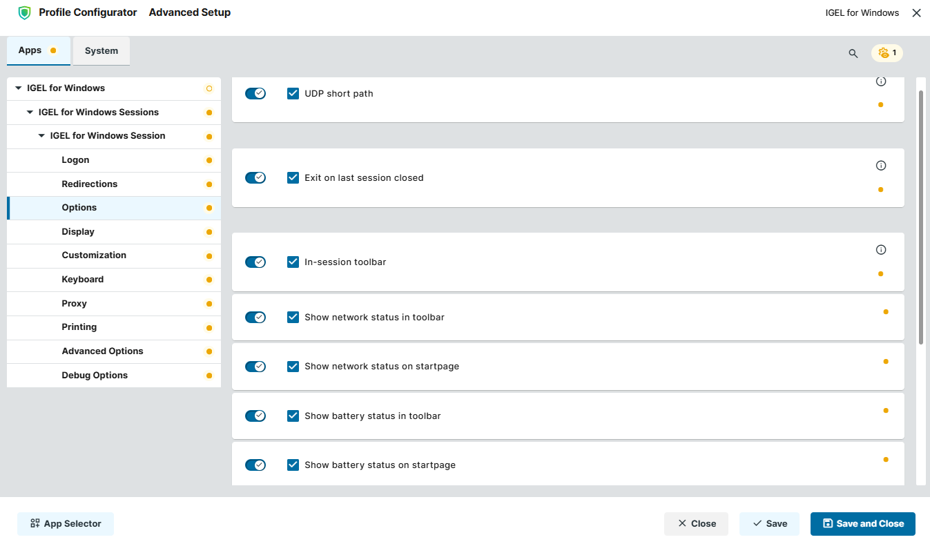 Options settings for IGEL for Windows app