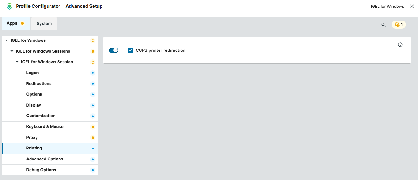 Printing settings for the IGEL for Windows session