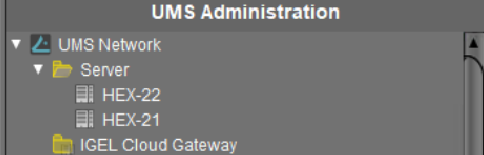 How to Update the IGEL Distributed UMS - Delete Orphaned Server Entries If  Available