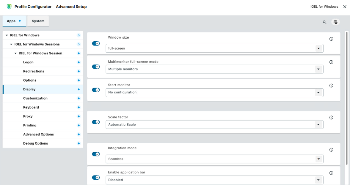 Display settings for IGEL for Windows app