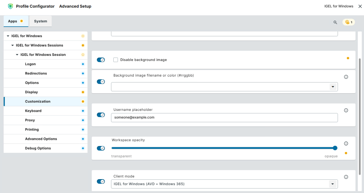 Customization settings for IGEL for Windows app