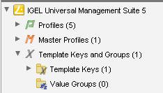 Template Keys and Groups