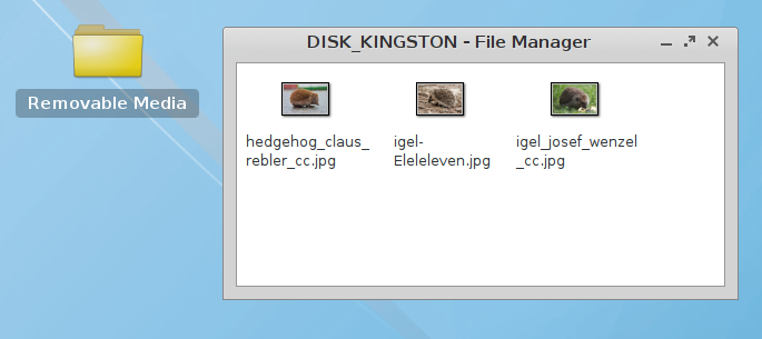 Removable Medium in File Manager